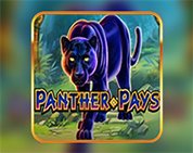 Panther Pays